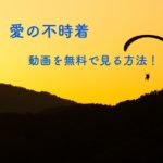 愛の不時着の日本放送予定まとめ！日本語字幕付き動画を無料で見る方法も紹介！